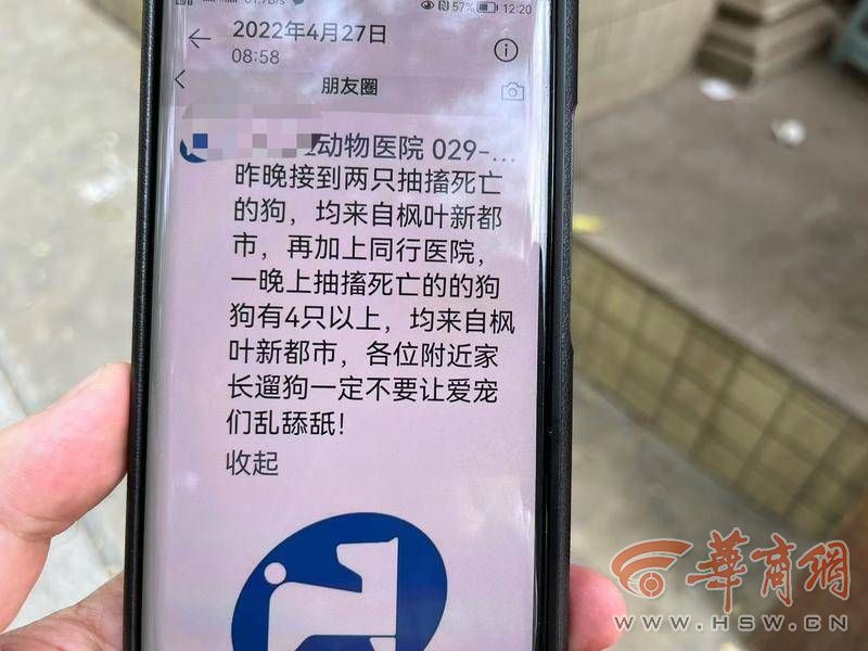 枫叶新家园狗狗中毒事件后续,西安一小区内多只宠物犬陆续死亡