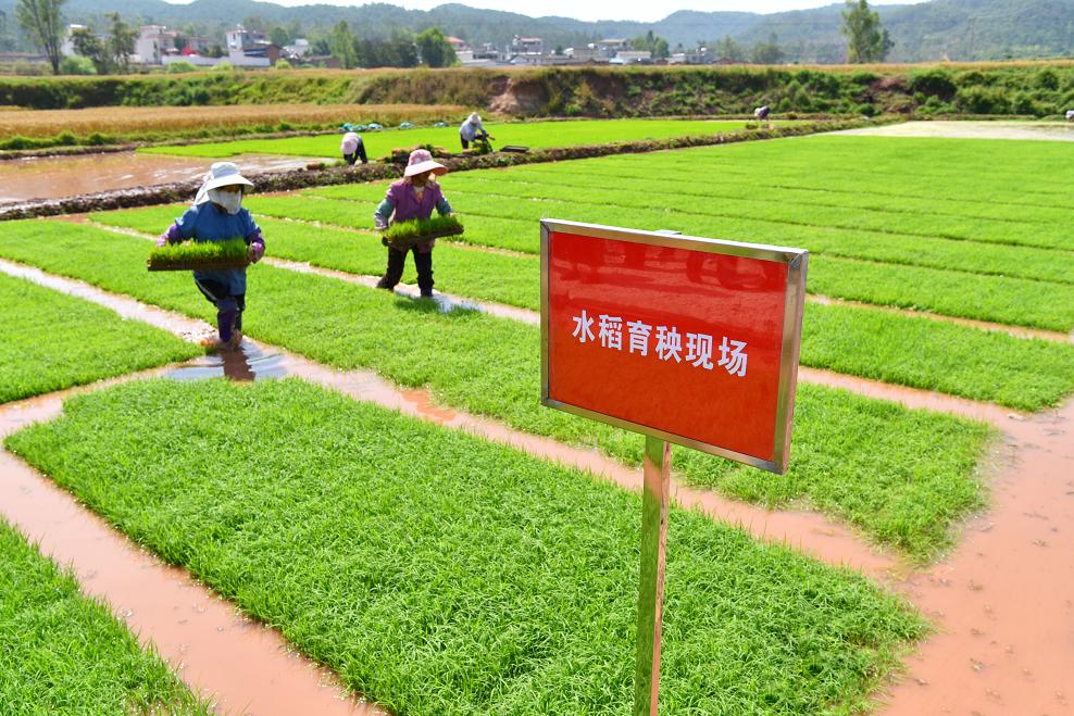 抓作风提效能促发展通知,持续转作风提效能办实事