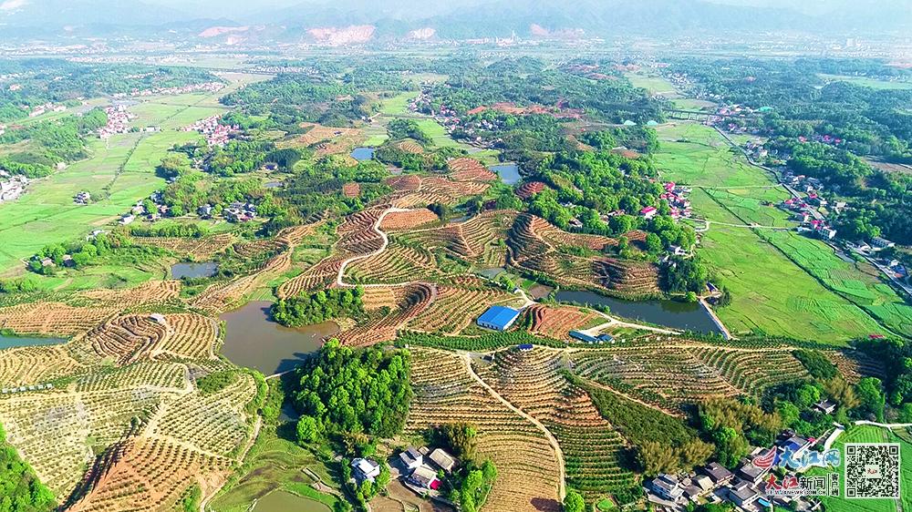 综合产值5.1亿元探寻江西芦溪“富硒”富民密码