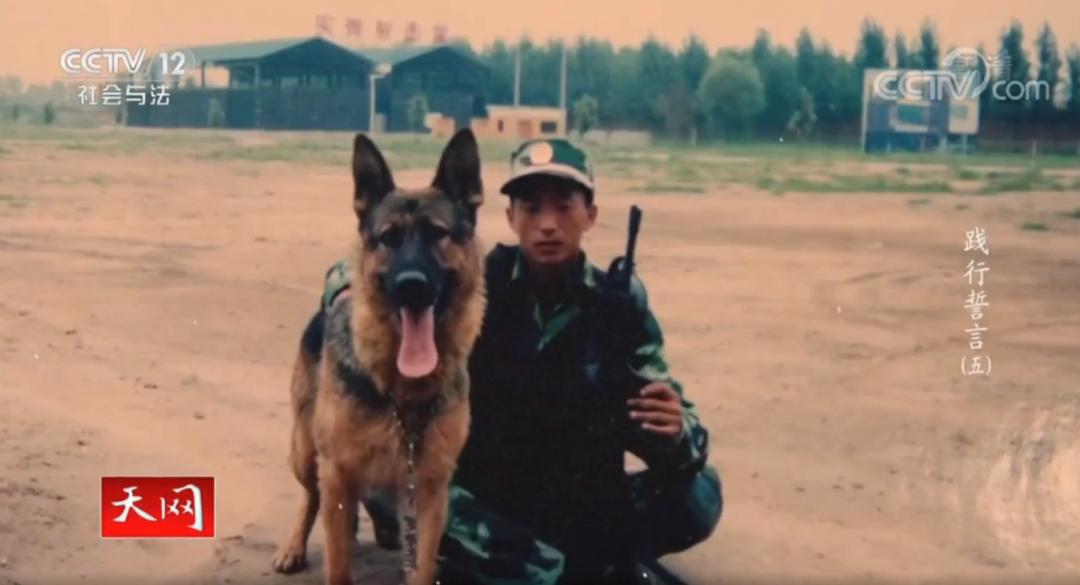 安徽刑警抓捕嫌疑人,安徽刑警总队事件