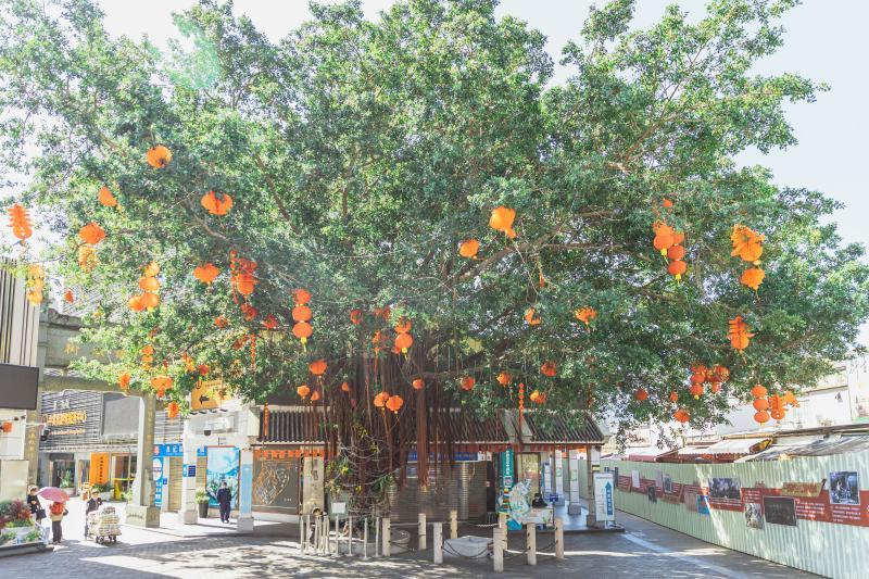 盐田港中英街,盐田中英街预约