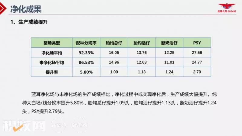 王声会：头均效益提高6376元！中芯种业蓝耳病净化体系详解