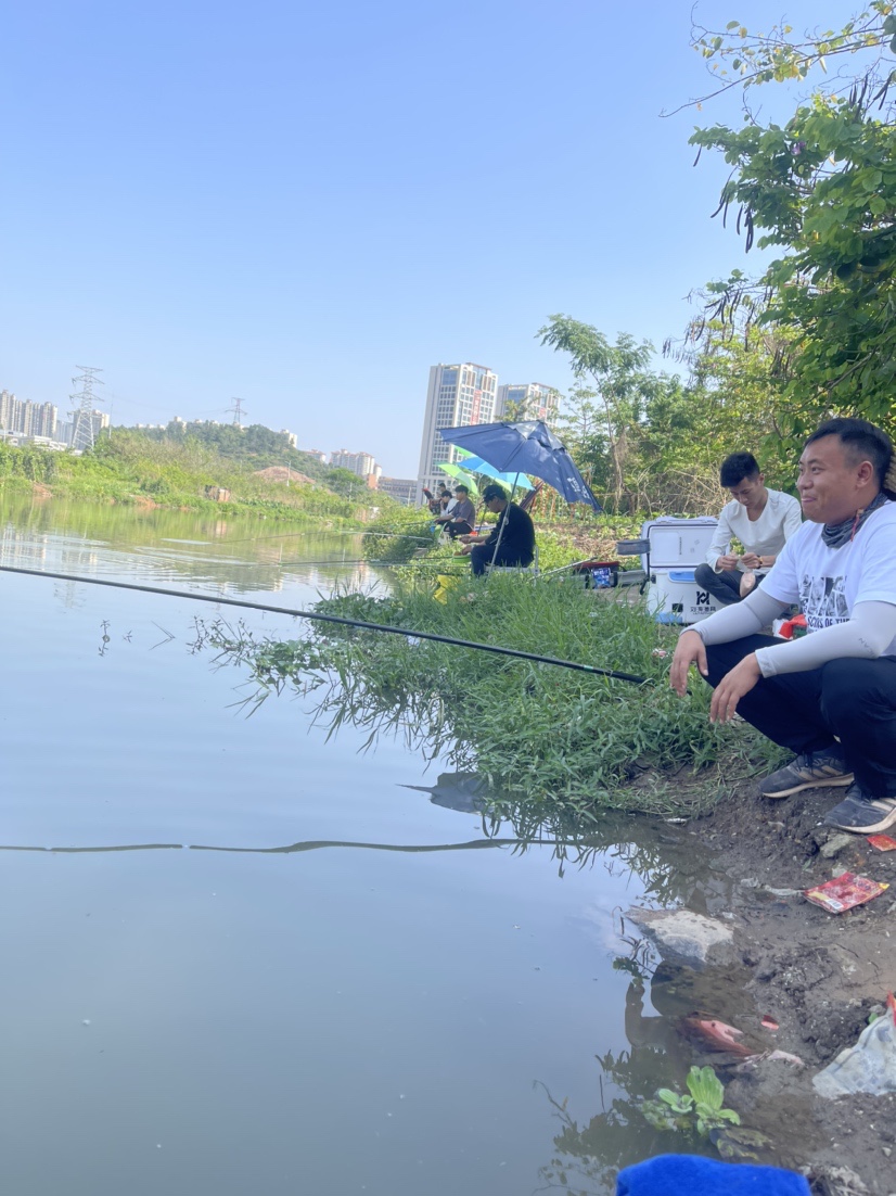 「518」小罗非垂竿自上，清道夫碳烤“美味”眼泪流