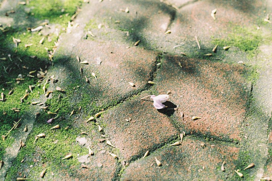 不是老歌好听只是回忆,不是老歌多好听而是我们不年轻