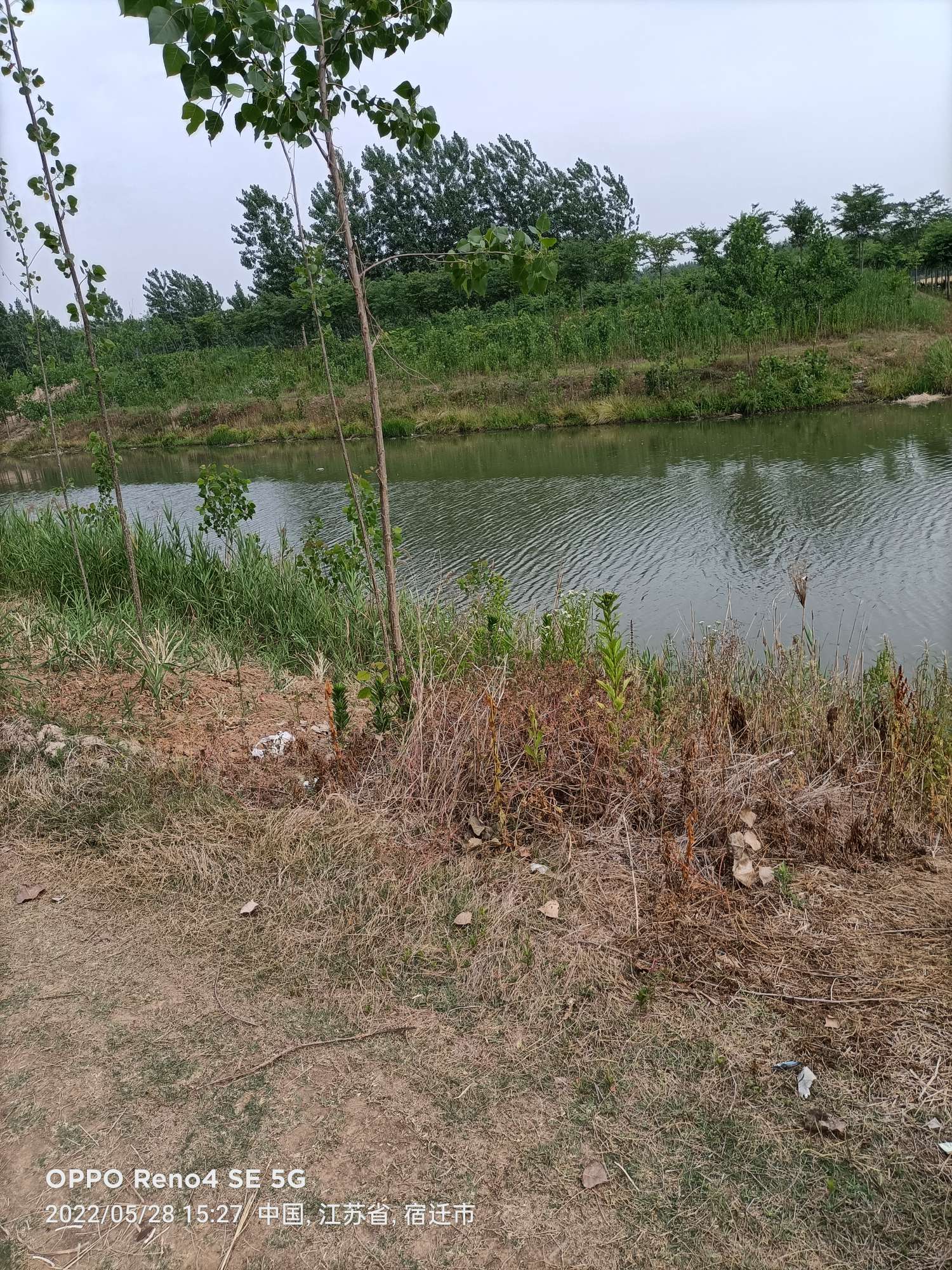 「5月鱼获」来者不拒，成功与餐条结缘