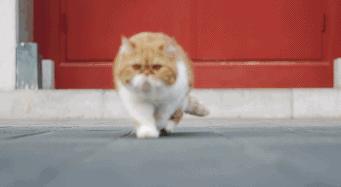 适合儿童玩的茶具,儿童节茶