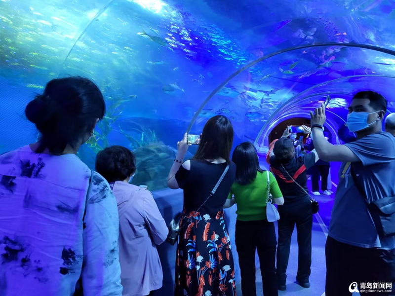青岛a级景区免门票游玩攻略,青岛极地海洋世界免票政策