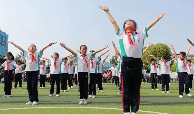 河南南阳市第三十三小学教研活动,南阳第三十三小学怎么样