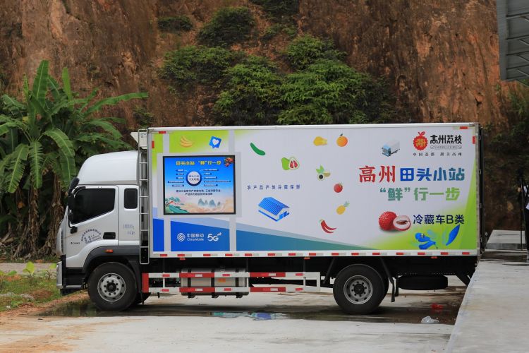 绾㈣崝椋橀骞夸笢鑼傚悕,鑼傚悕绾㈣崝椋橀