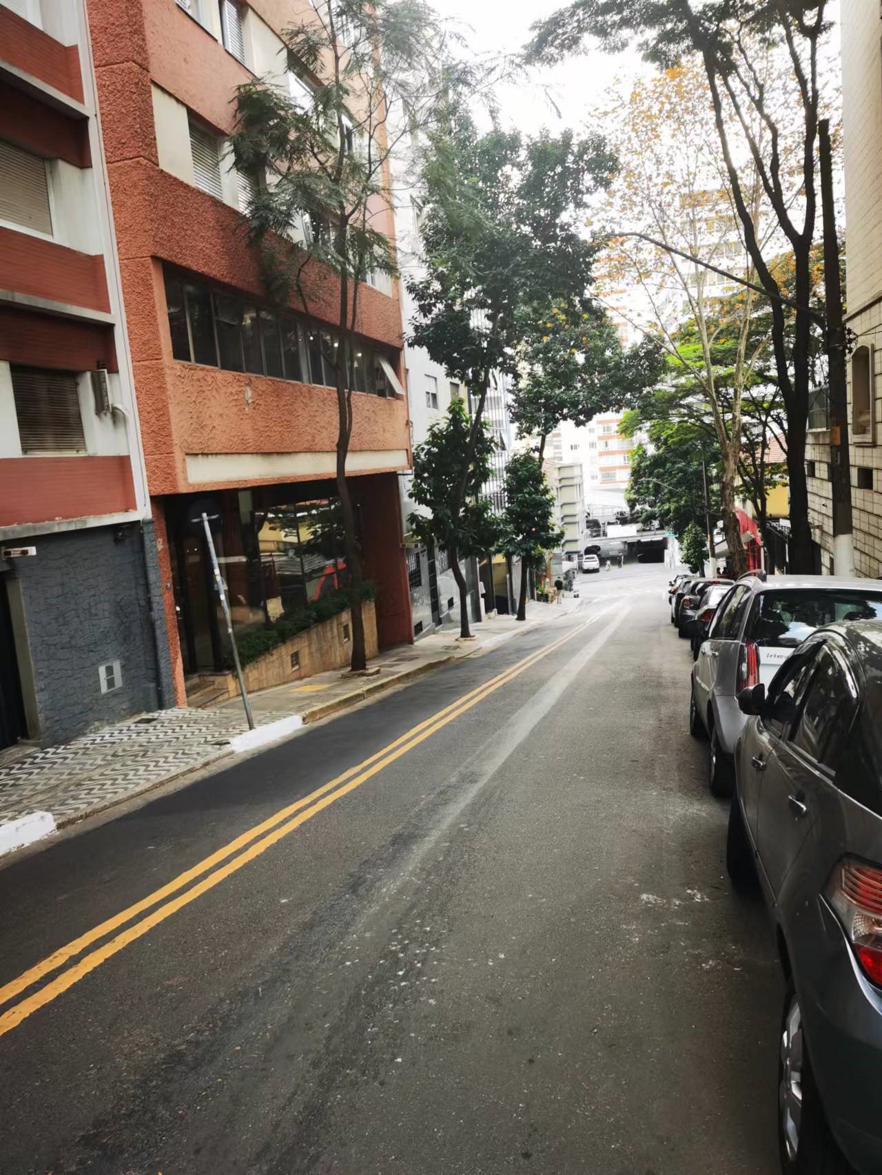 总台记者看世界,总台记者看世界两会