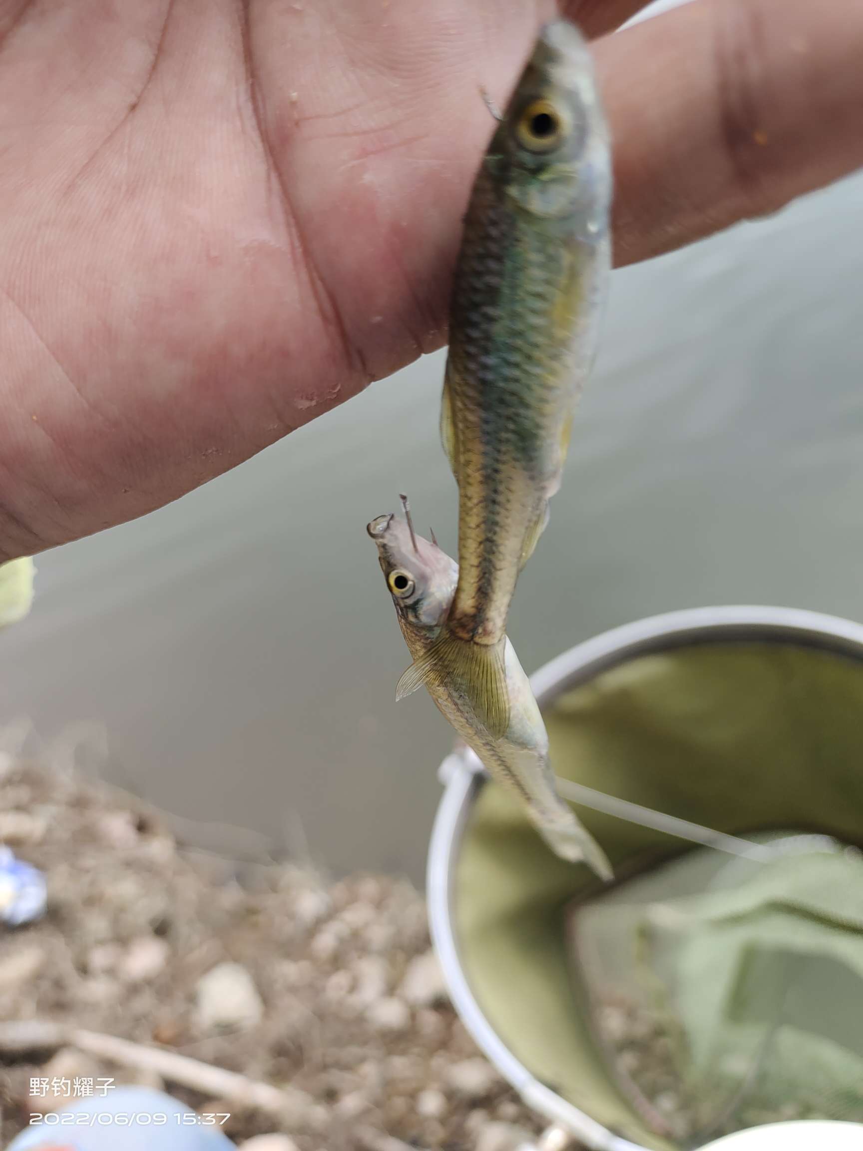 骨灰级自我化解方法,骨灰级钓法视频教学