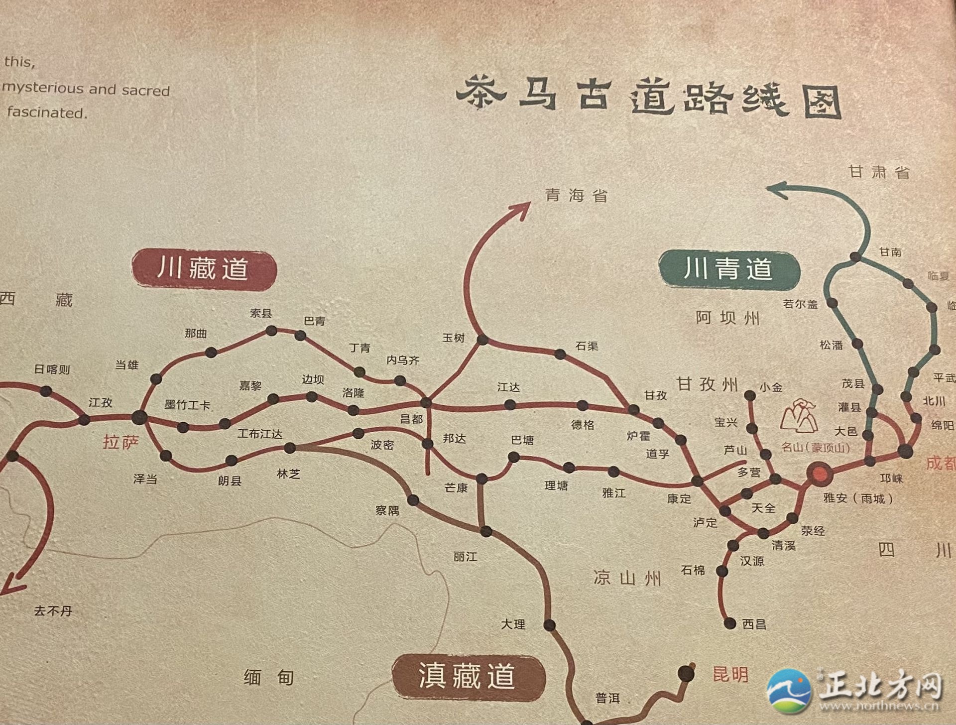 茶马古道上又传来马帮的驼铃声,茶马古道茶叶香