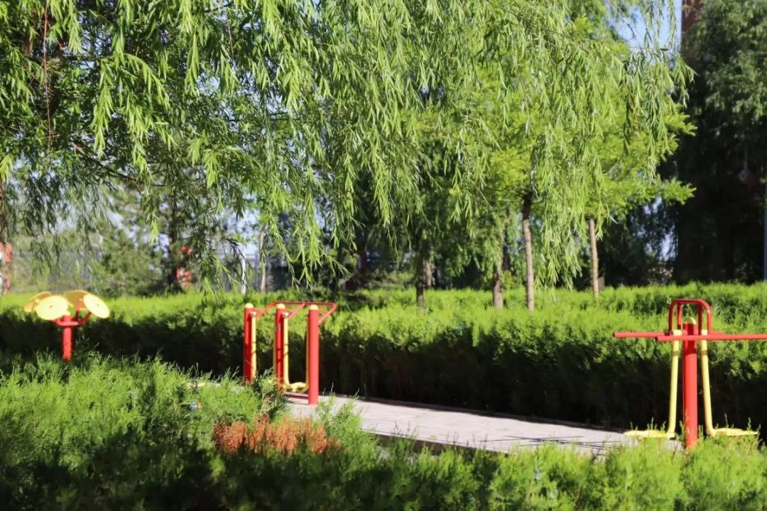 遇见三中邂逅美好