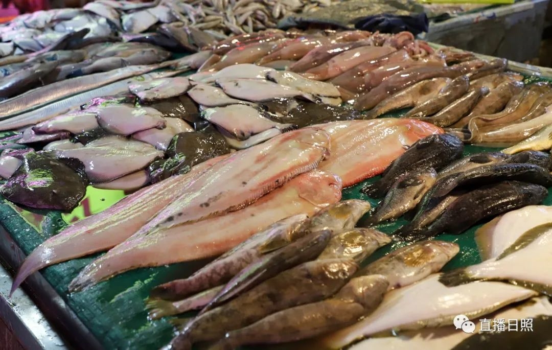 日照现在海鲜价,日照2019海鲜价格表