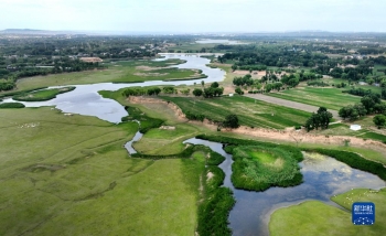 陕西靖边：芦河湿地水清景美「图」