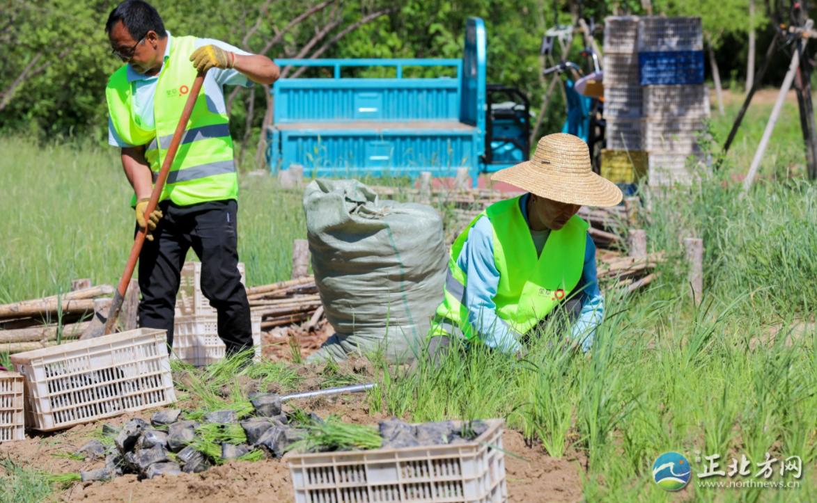 婕鍩庝腑,婕鍩庝腑妫灄