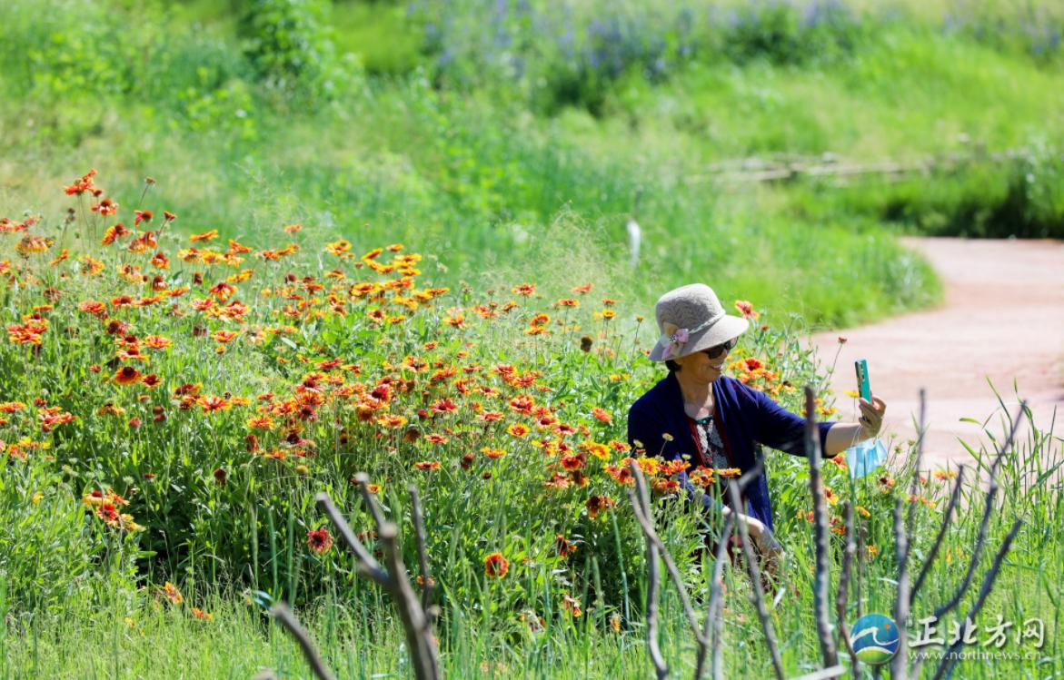 婕鍩庝腑,婕鍩庝腑妫灄