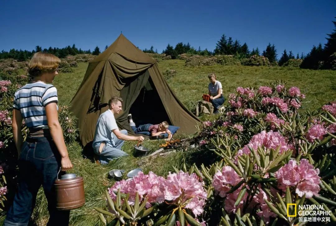 100张最伟大的体育照片,100张有史以来最伟大的照片