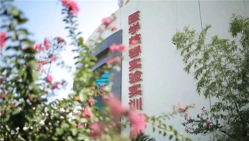 海棠职业技术学院医学美容专业,西安海棠职业学院中医美容科目