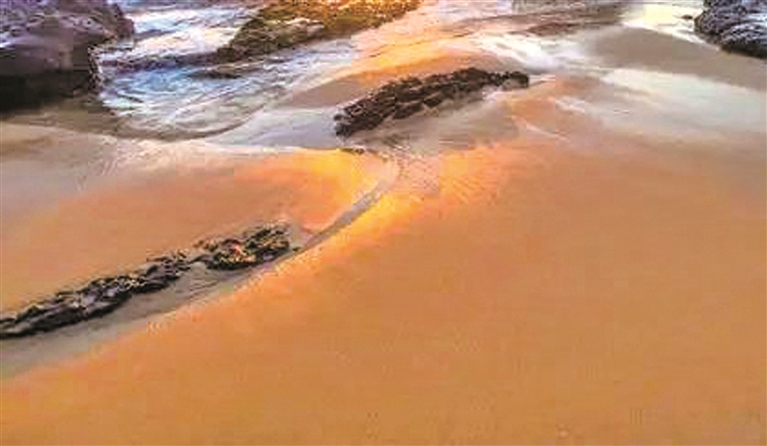 之乎者也作者,知乎者也的观点