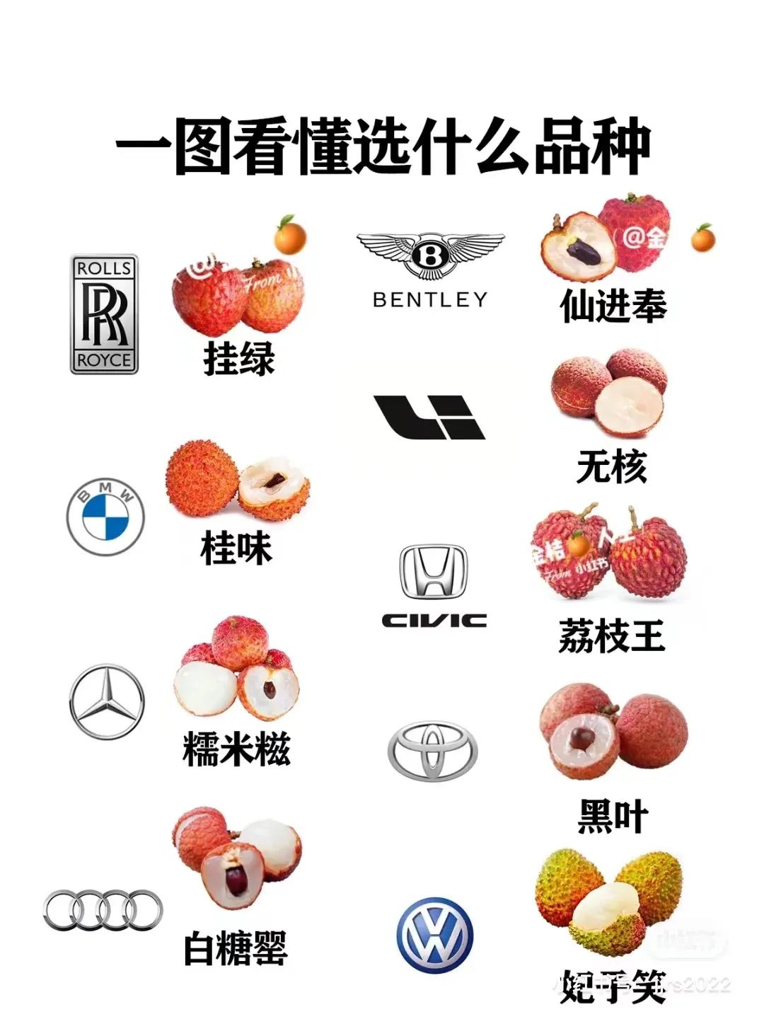 荔枝的鄙视链,荔枝100元一颗