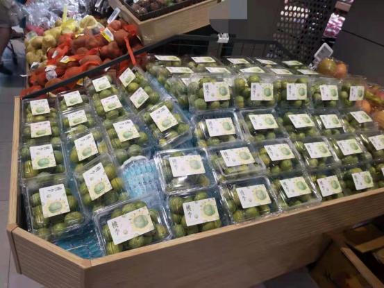 元谋新华种植,种植摇钱树拓宽致富路