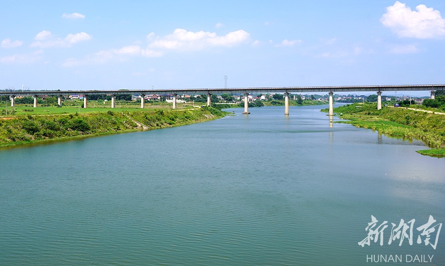 乡村振兴特色产业品牌集群,关于乡村产业振兴美丽的画卷