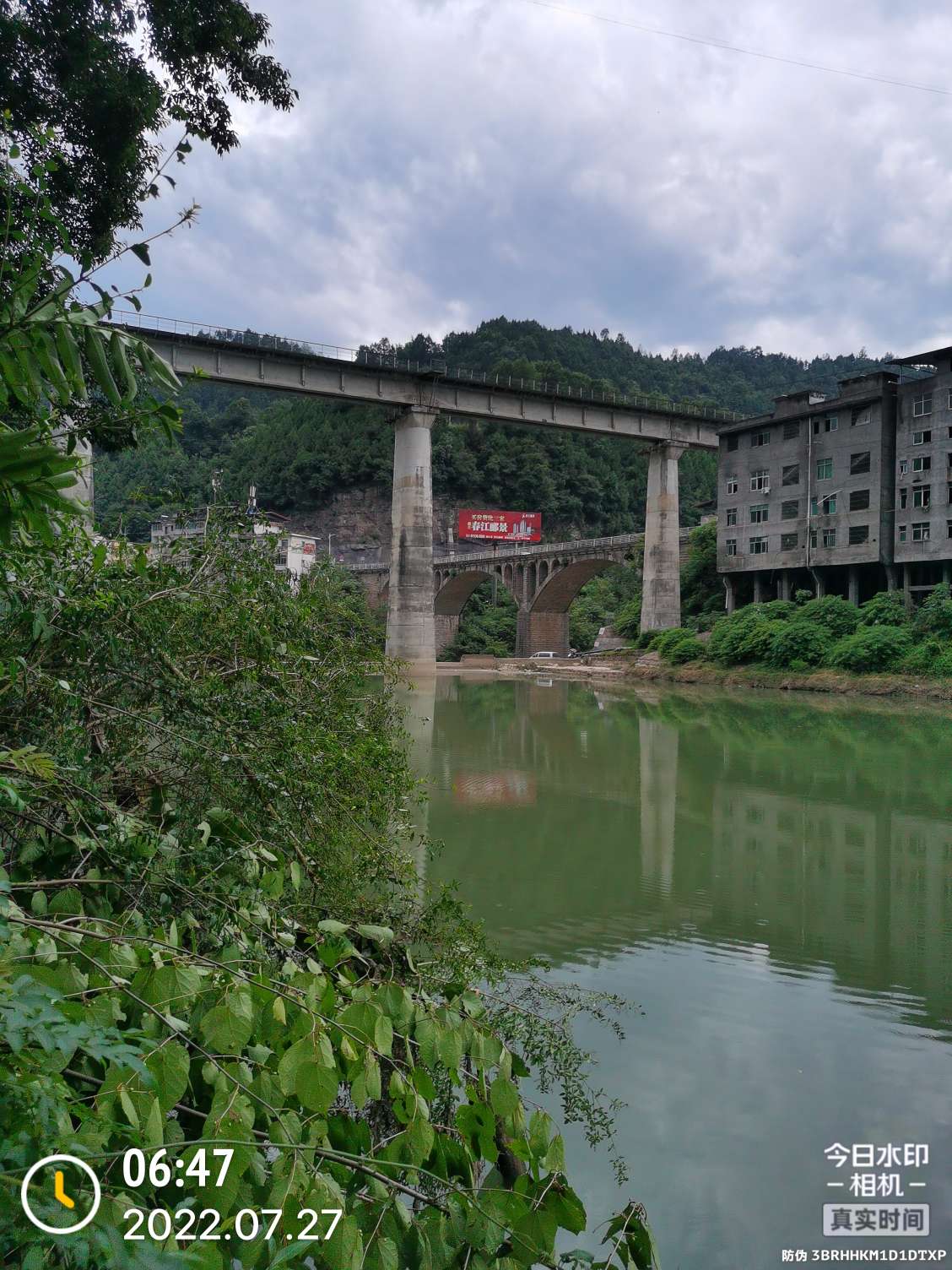 「七月鱼获」骗最憨的巨草！上最憨的洋当