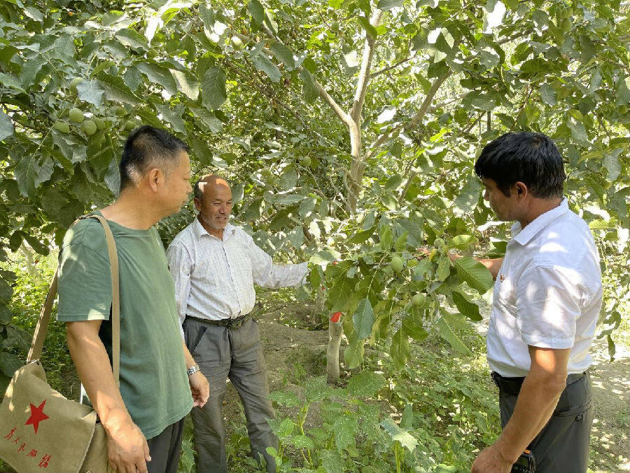 农民增收致富新思路,丰收正当时的句子
