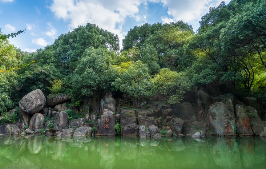 苏州赏花旅游攻略一日游,苏州花海旅游攻略