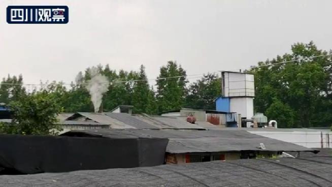 观观调查丨异味呛鼻的“田园花篱”