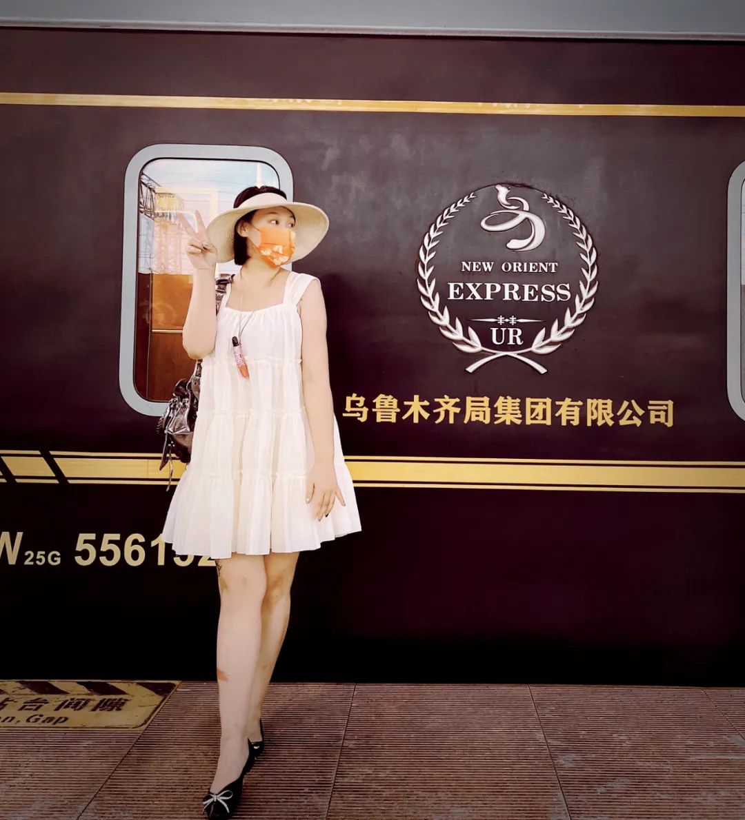 豪华旅游列车,国内豪华游专列