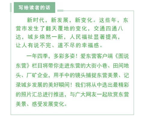 山东哪里的玉米最好,山东玉米高产前十名