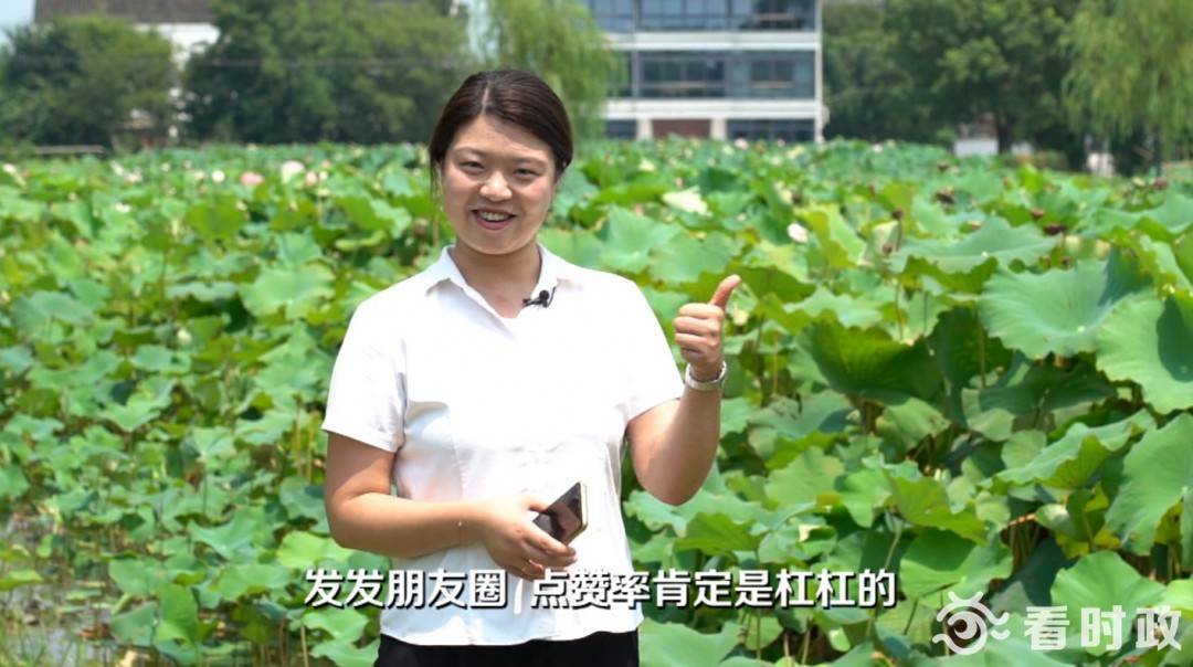 网红冯梦龙,网红是怎样炼成的小说