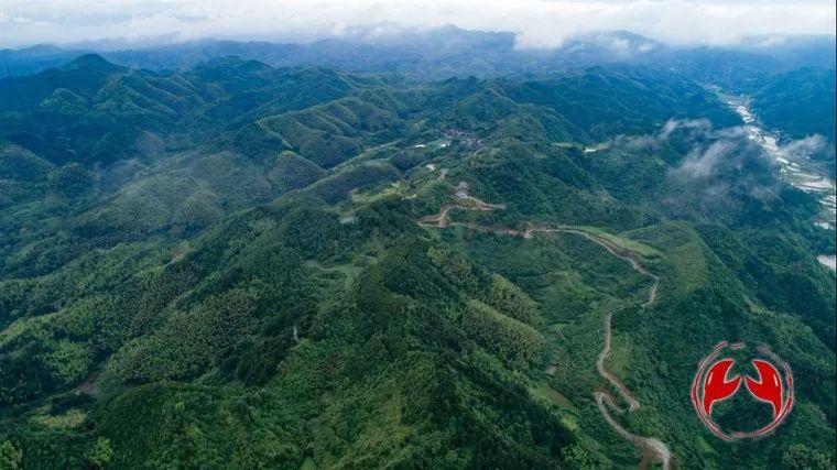 观察丨“青山”可*款贷**变现为“金山”，这个县在全省作出了探索