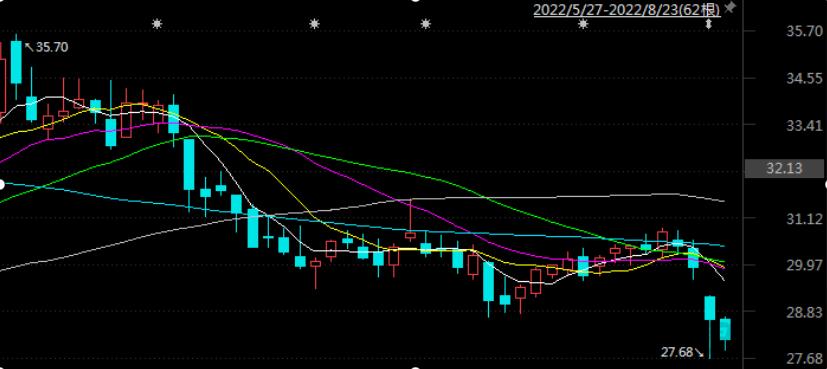 金徽酒一季度预测,第二季度经济数据不及预期