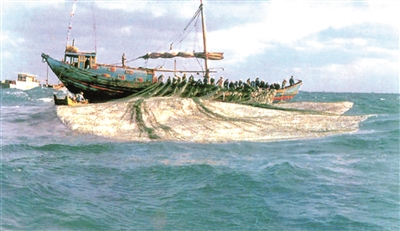 闽东之光朗诵,闽东之光的诗歌