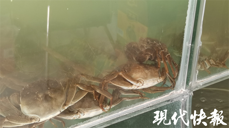 大闸蟹中秋节以后价格会低嘛,大闸蟹中秋价格