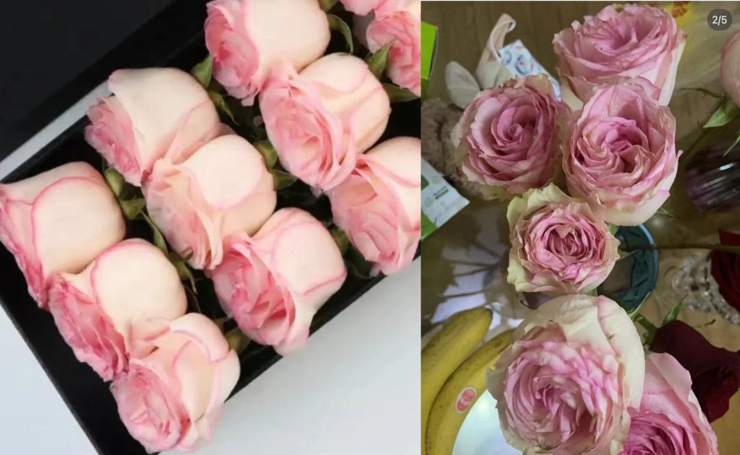 野兽派香水国外研究情况,野兽派香水属于什么档次