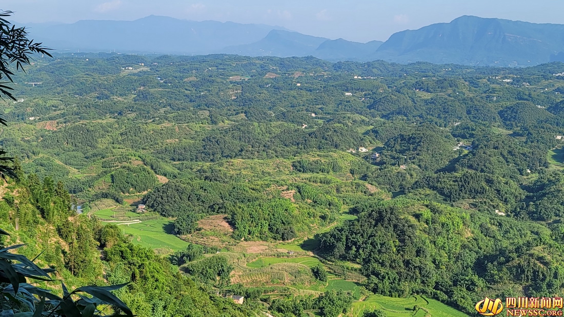 青岛嗨生活,海边嗨生活