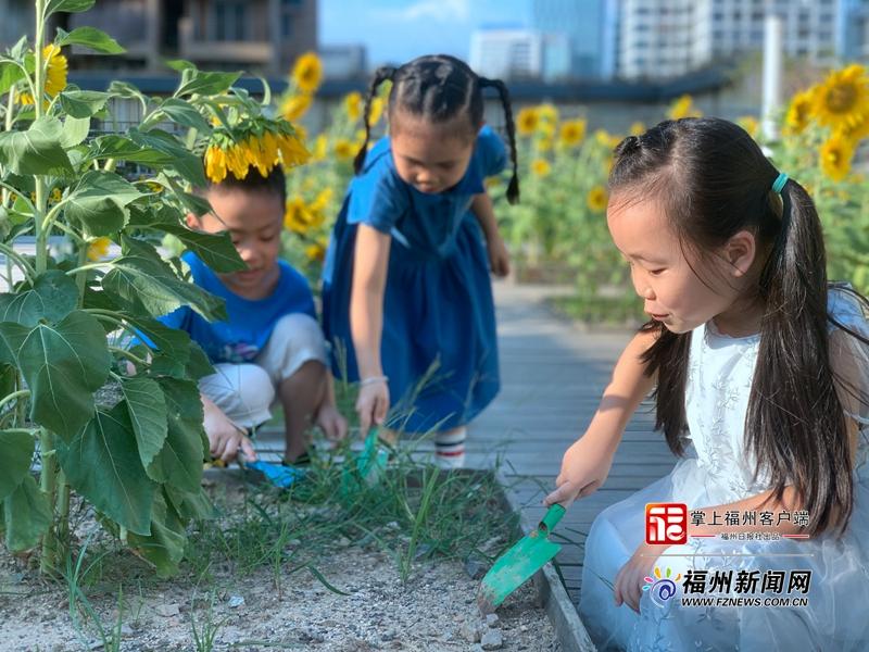 福州花园幼儿园,福州幼儿园建筑设计费用