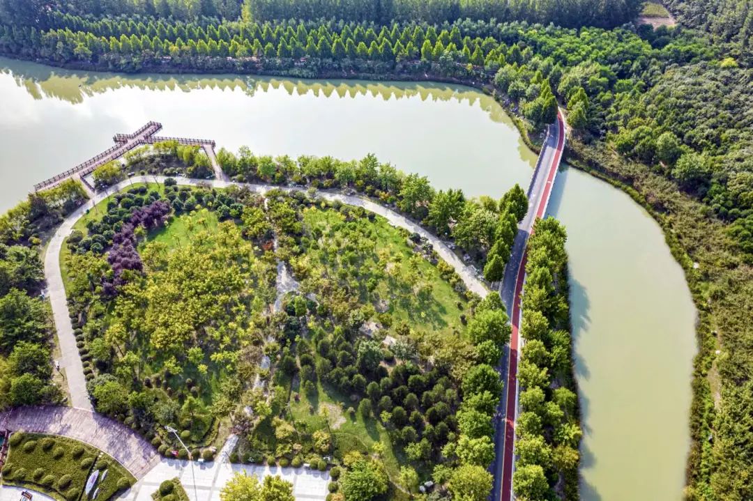 临颍最美千亩湖,临颍县千亩森林公园
