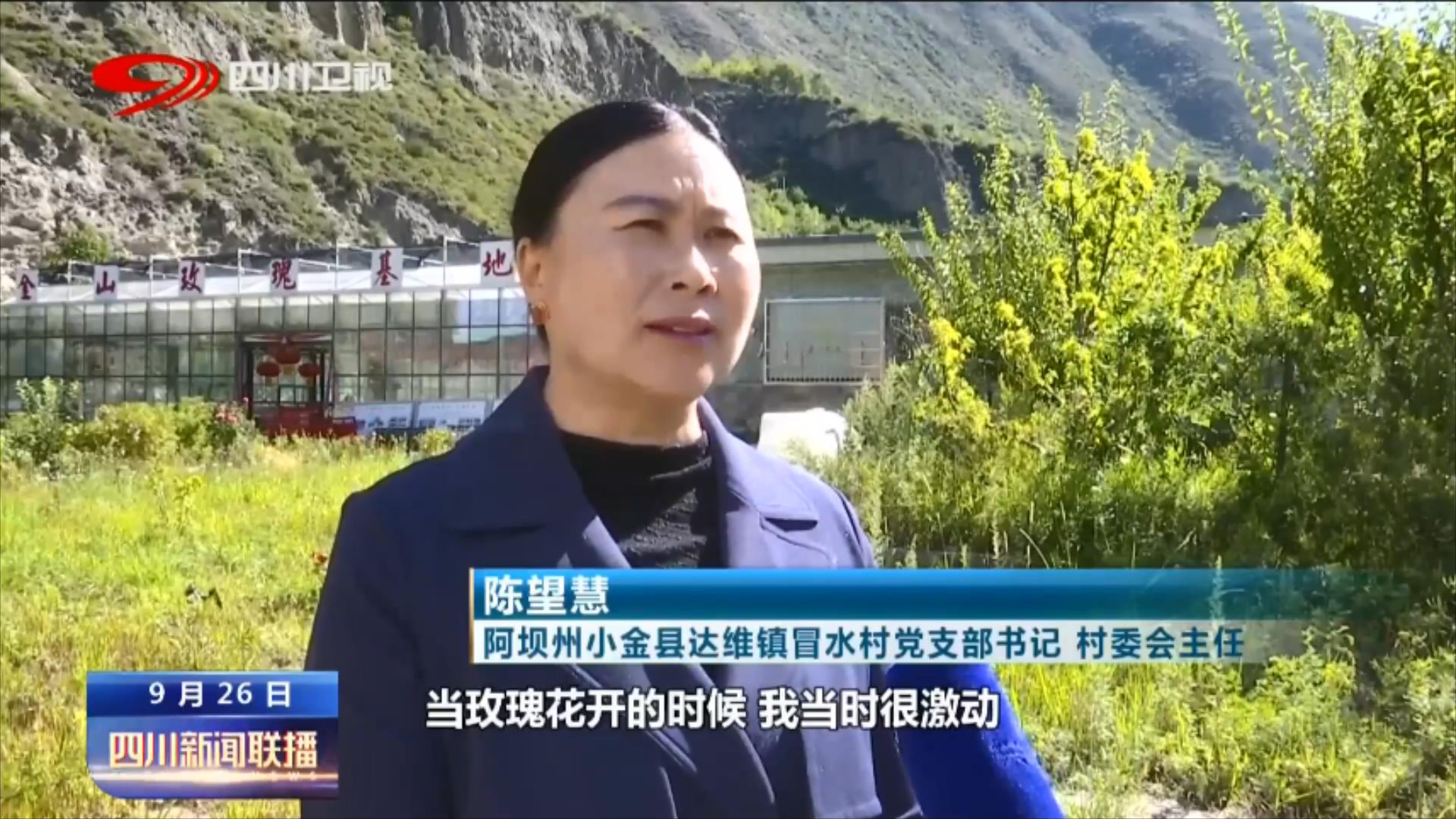 四川新闻联播丨二十大代表风采：带领乡亲们走上致富路