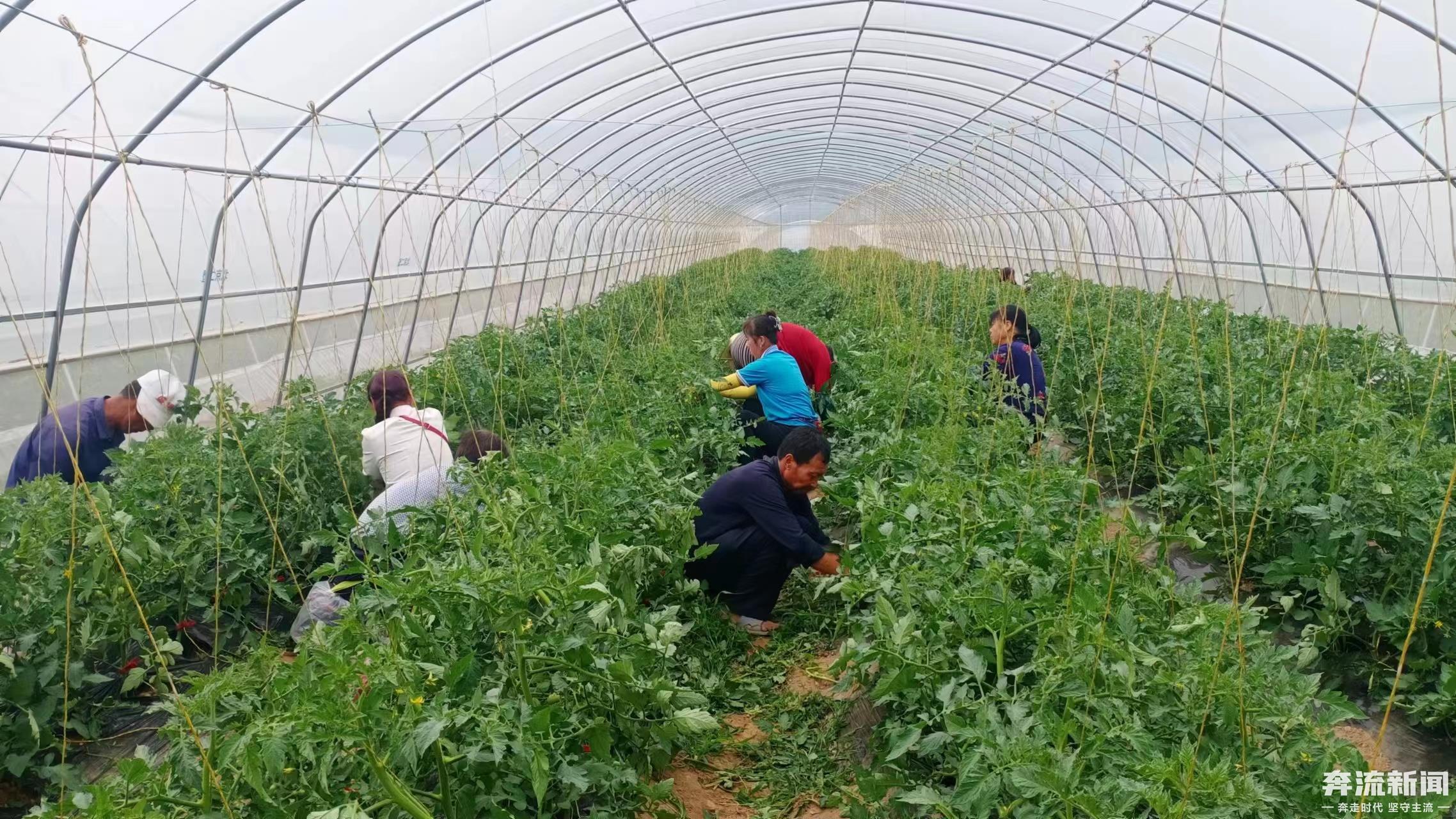 我们这十年经济的变化,甘肃平凉市泾川县乡村振兴战略