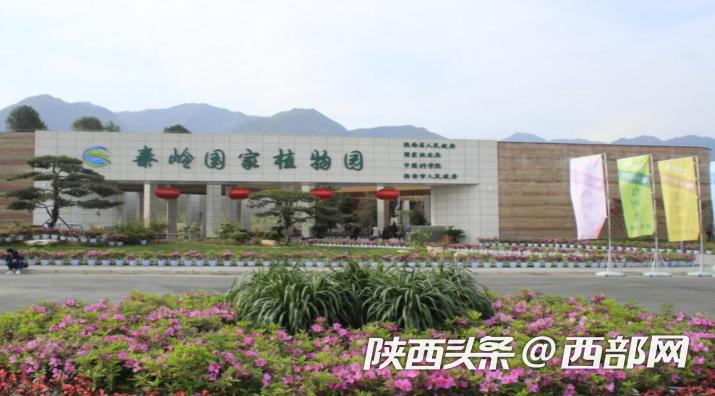 陕西推荐六条生态特色游路线,陕西最美旅游攻略