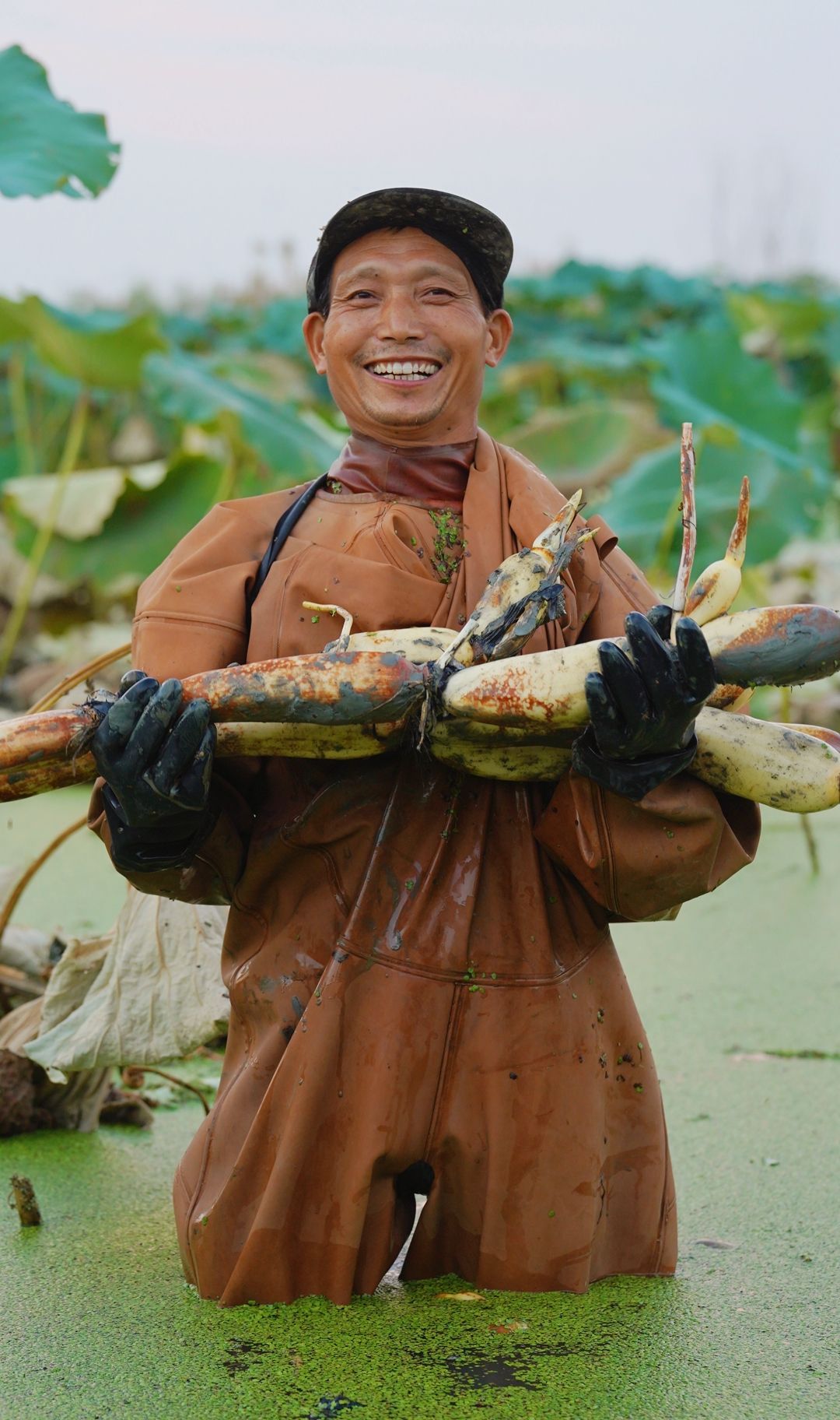 寻秋鄂城｜奋进泽林，勇毅前行
