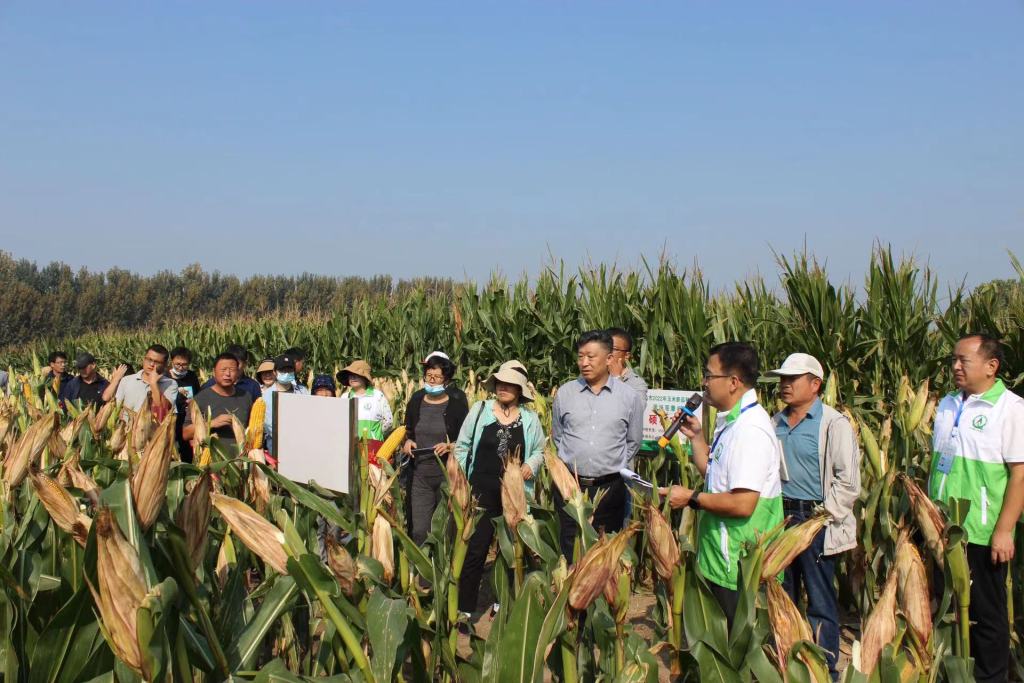 非凡十年砥砺前行,非凡十年农村