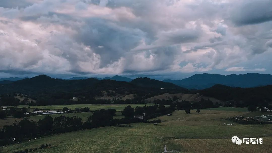 澳大利亚摘葡萄一个月能挣多少钱,澳大利亚农场打工女孩