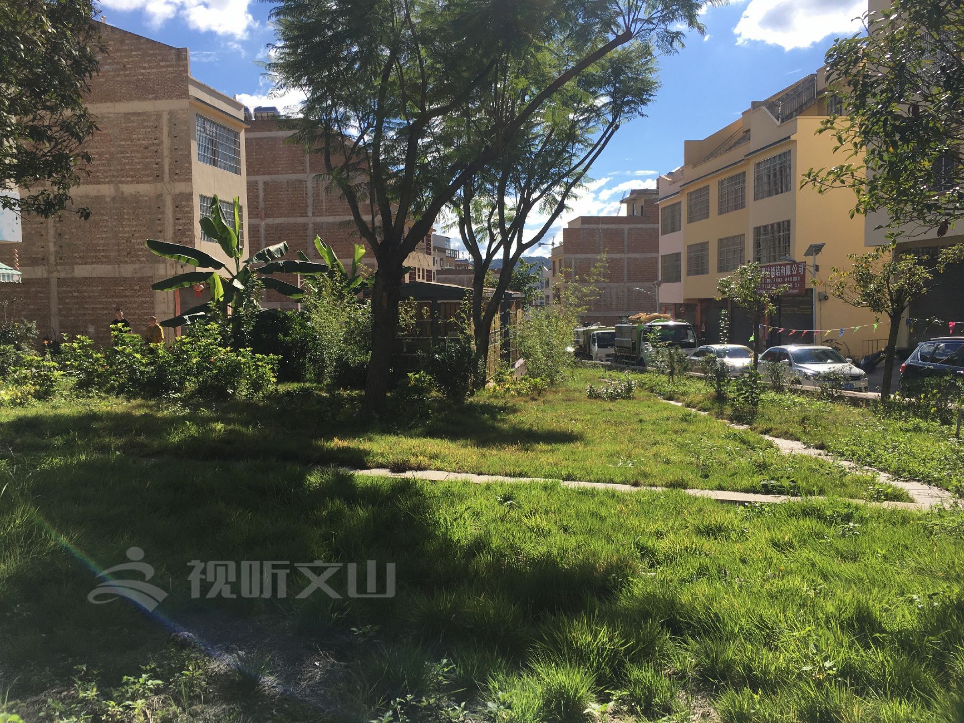 绿美乡村花箱彩绘,绿美文山绘画