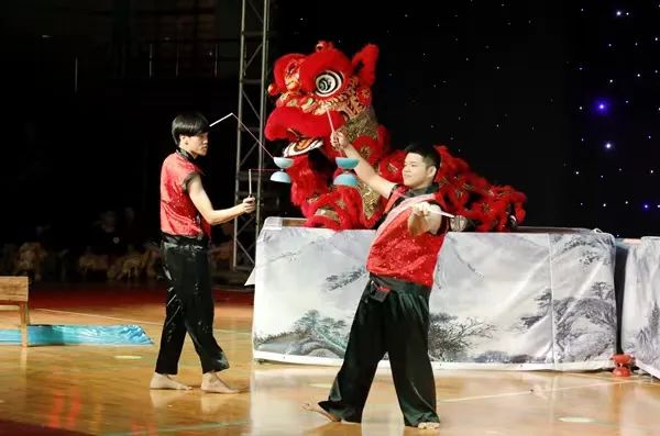 体育运动学校赛艇训练,体育课游泳项目